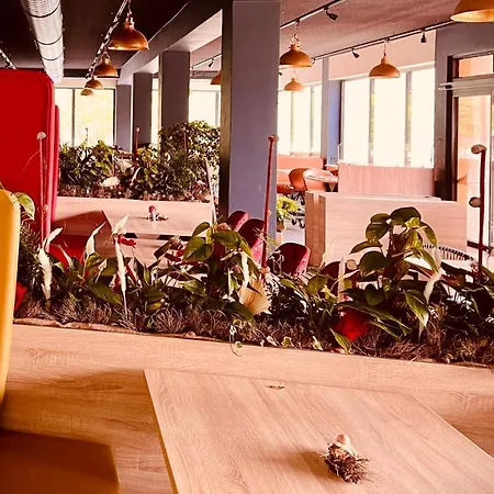 Mosel Village Resort