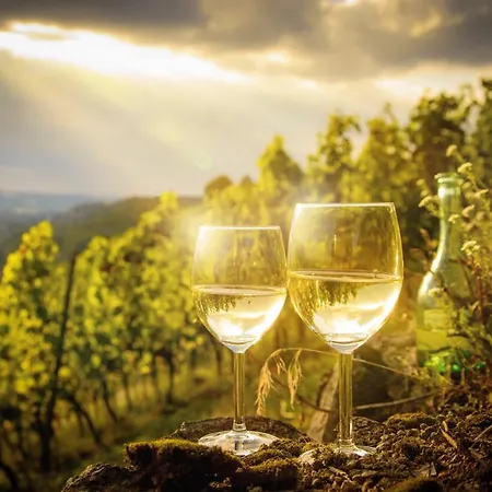 Mosel Village إيلينز-بولتيرسدورف