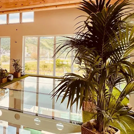 Resort Mosel Village Ellenz-Poltersdorf