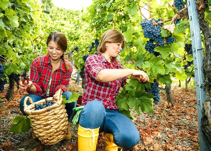 Mosel Village * Ellenz-Poltersdorf